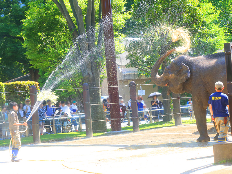 上野動物園