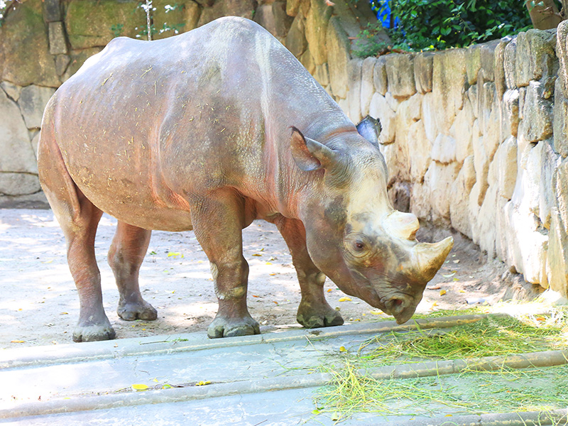 上野動物園