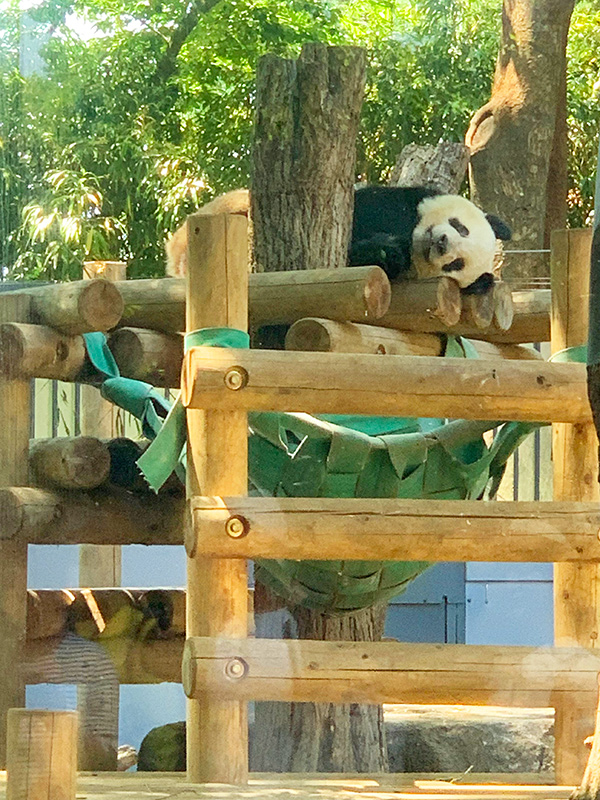 上野動物園