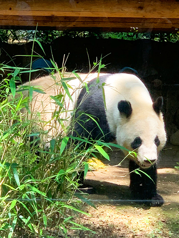 上野動物園