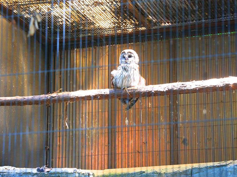 上野動物園