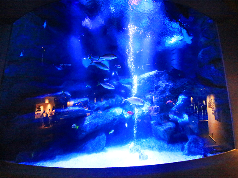 すみだ水族館
