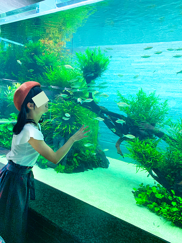 すみだ水族館