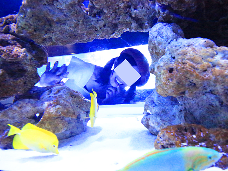 すみだ水族館