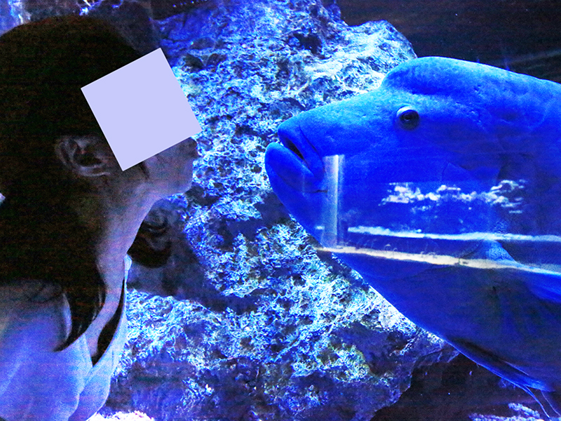 すみだ水族館