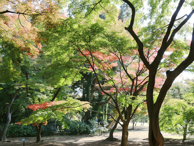 新宿御苑・内藤新宿大宗寺
