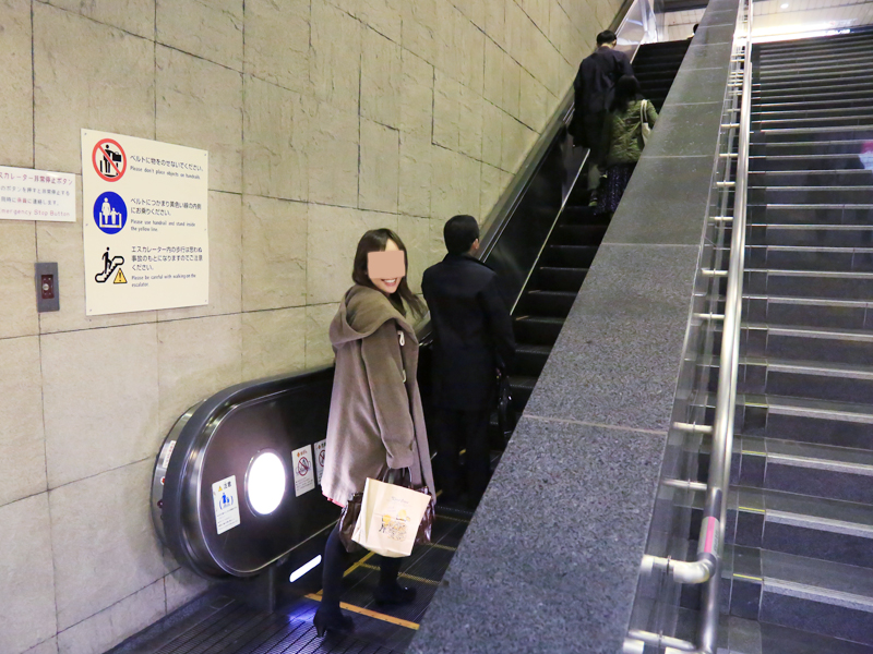 新宿御苑・内藤新宿大宗寺