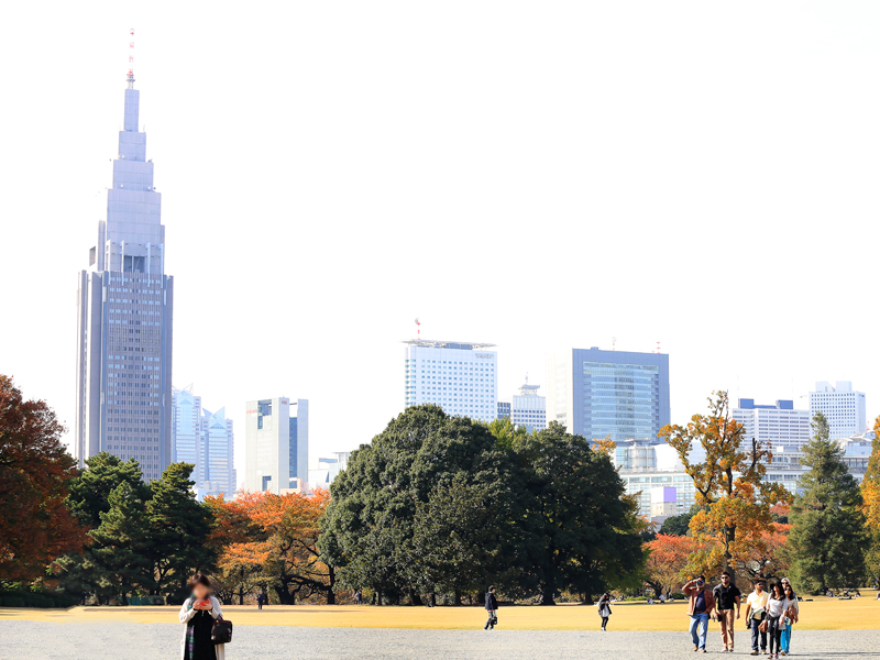 新宿御苑・内藤新宿大宗寺