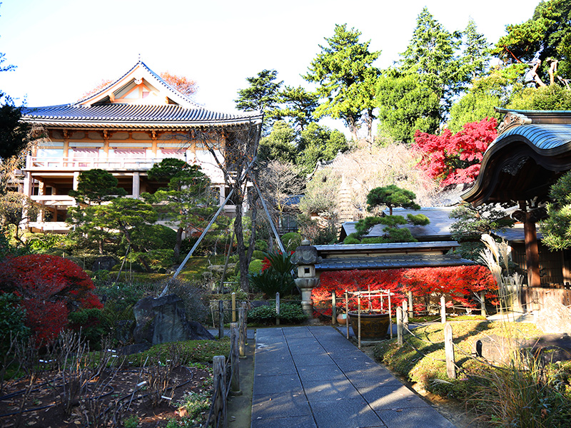 薬王院・氷川神社・歌舞伎町&花園神社
