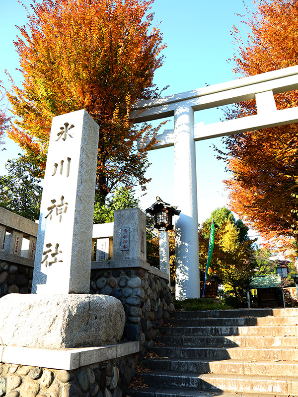 薬王院・氷川神社・歌舞伎町&花園神社