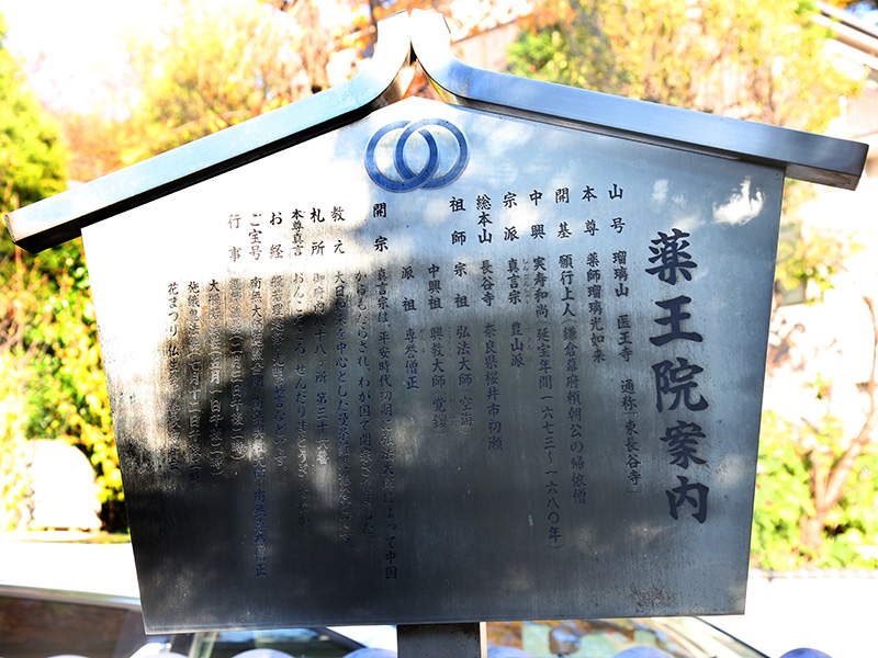 薬王院・氷川神社・歌舞伎町&花園神社
