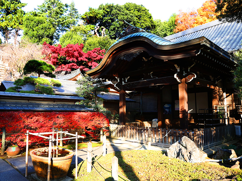 薬王院・氷川神社・歌舞伎町&花園神社