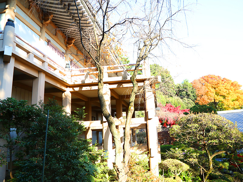 薬王院・氷川神社・歌舞伎町&花園神社
