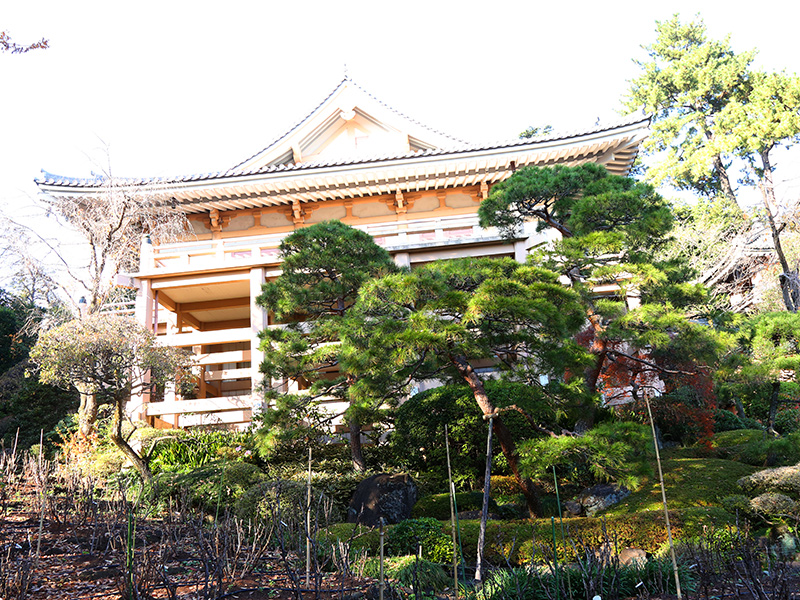 薬王院・氷川神社・歌舞伎町&花園神社