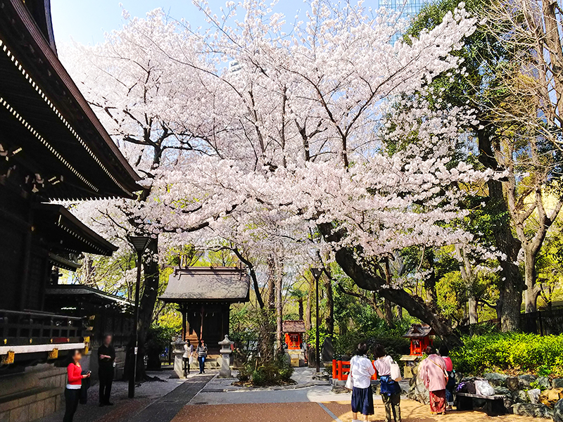 「新宿中央公園&十二社熊野神社」と「神田川」をぶら散歩