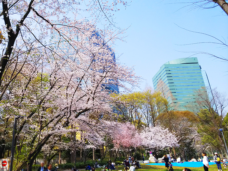 「新宿中央公園&十二社熊野神社」と「神田川」をぶら散歩