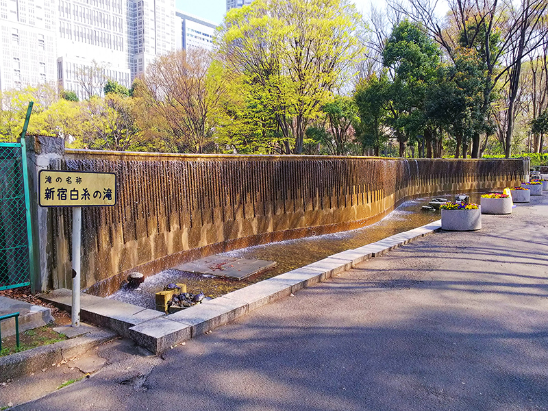 「新宿中央公園&十二社熊野神社」と「神田川」をぶら散歩