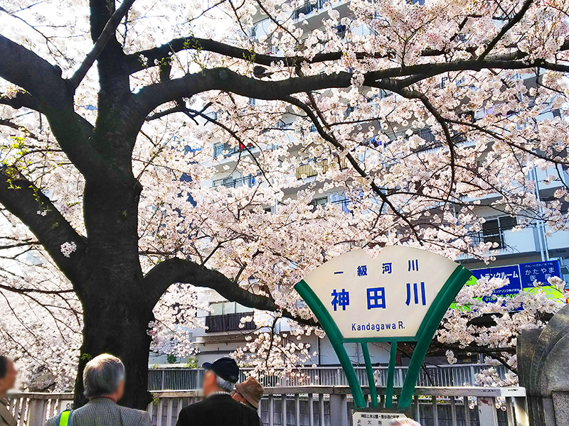 「新宿中央公園&十二社熊野神社」と「神田川」をぶら散歩