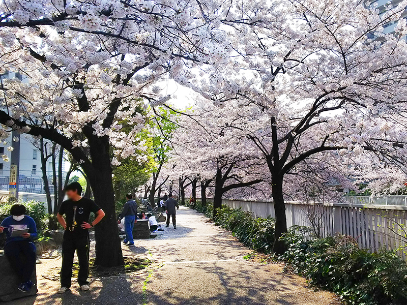 「新宿中央公園&十二社熊野神社」と「神田川」をぶら散歩