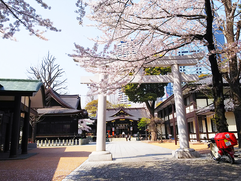「新宿中央公園&十二社熊野神社」と「神田川」をぶら散歩