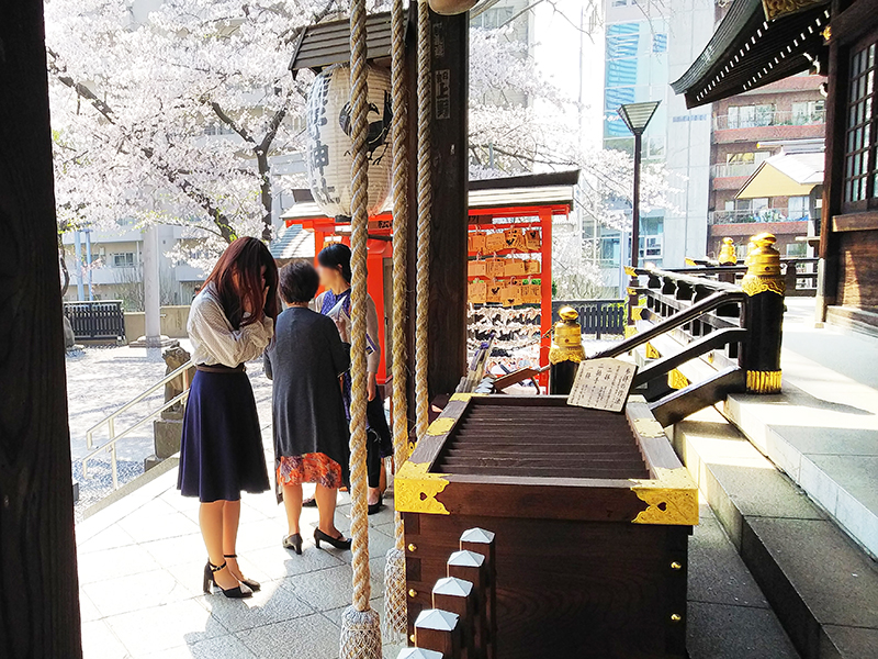 「新宿中央公園&十二社熊野神社」と「神田川」をぶら散歩