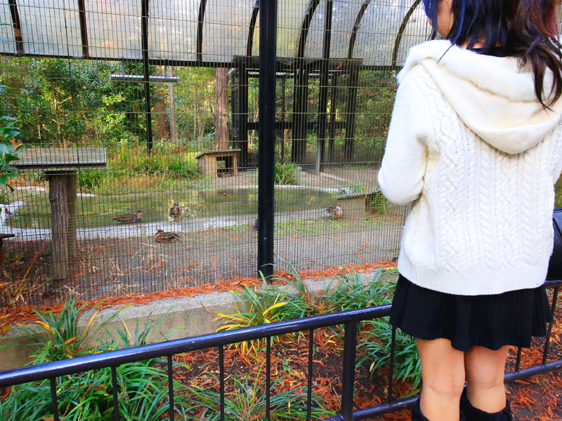 井の頭恩賜公園
