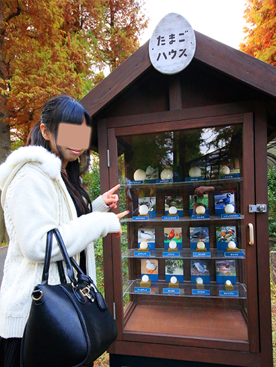 井の頭恩賜公園
