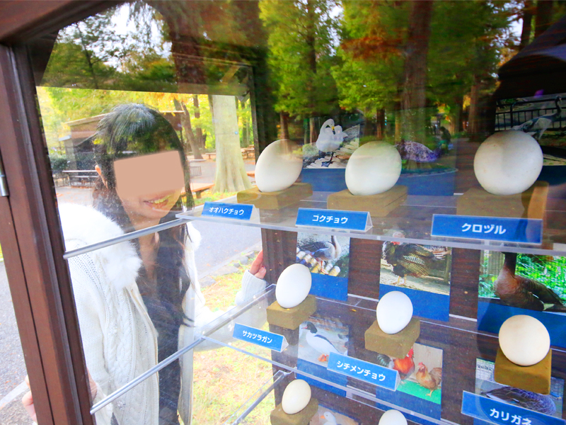 井の頭恩賜公園