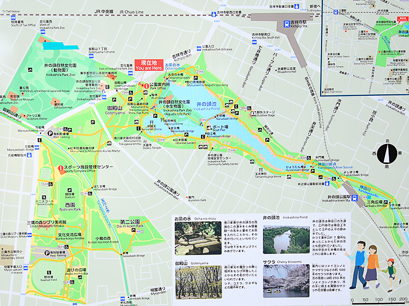 井の頭恩賜公園