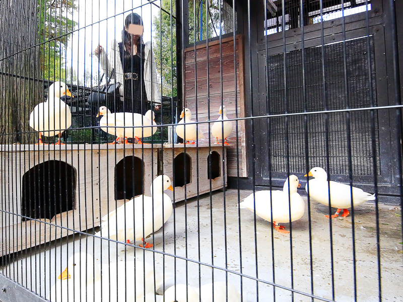井の頭恩賜公園