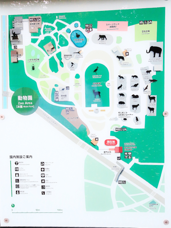 井の頭恩賜公園