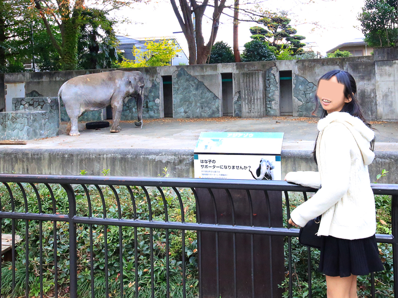 井の頭恩賜公園