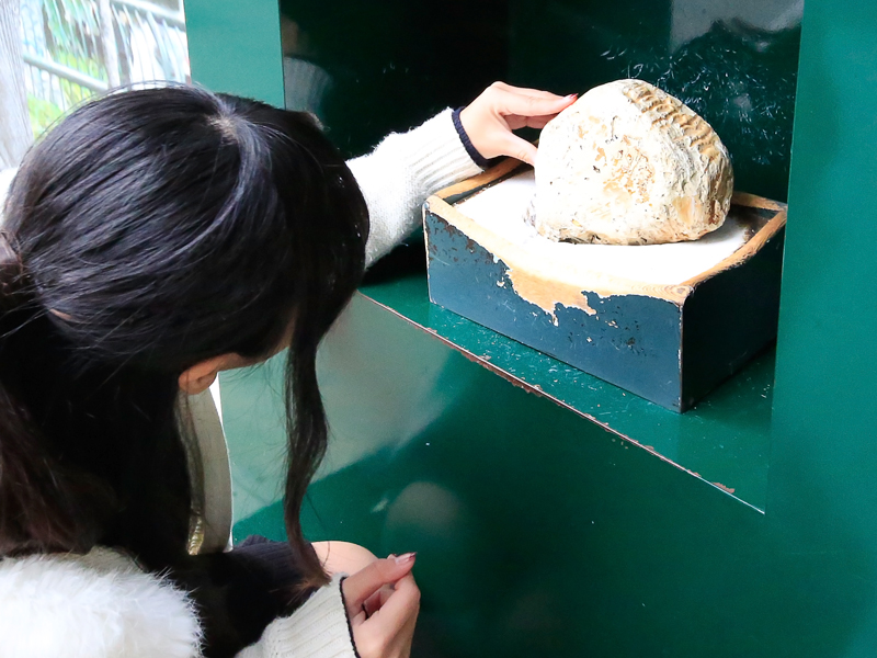 井の頭恩賜公園