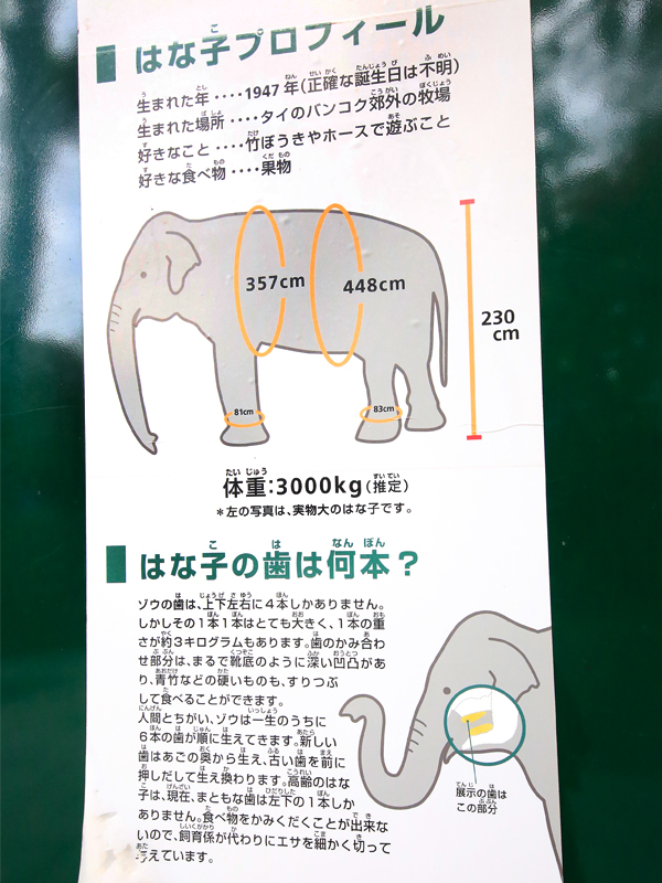 井の頭恩賜公園
