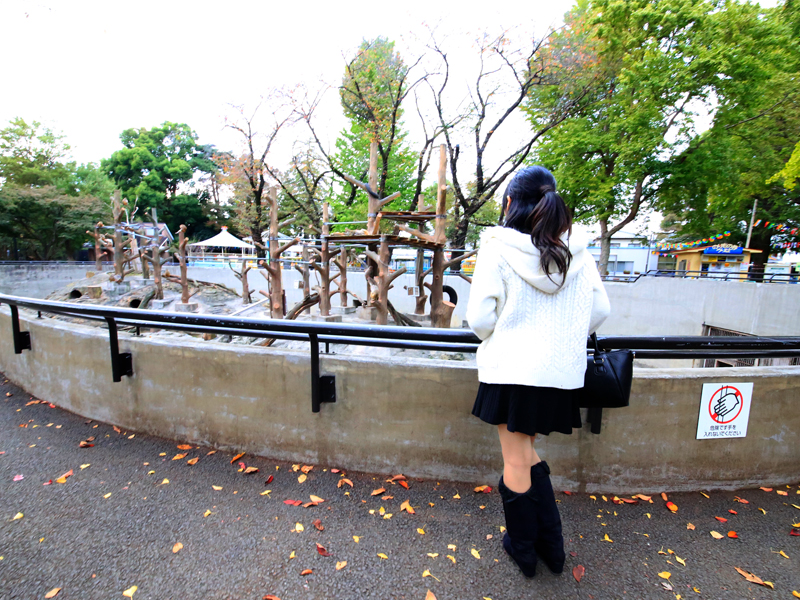 井の頭恩賜公園