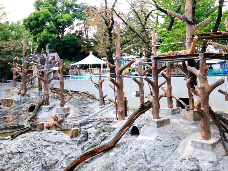 井の頭恩賜公園